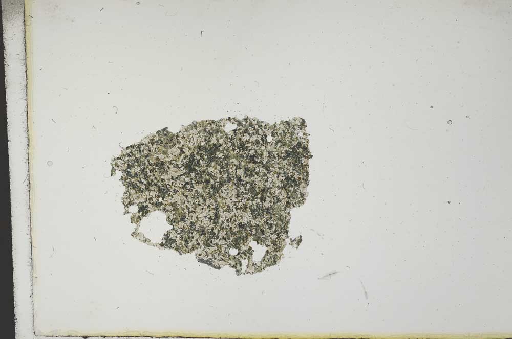 Plane Polarized, S12679/A