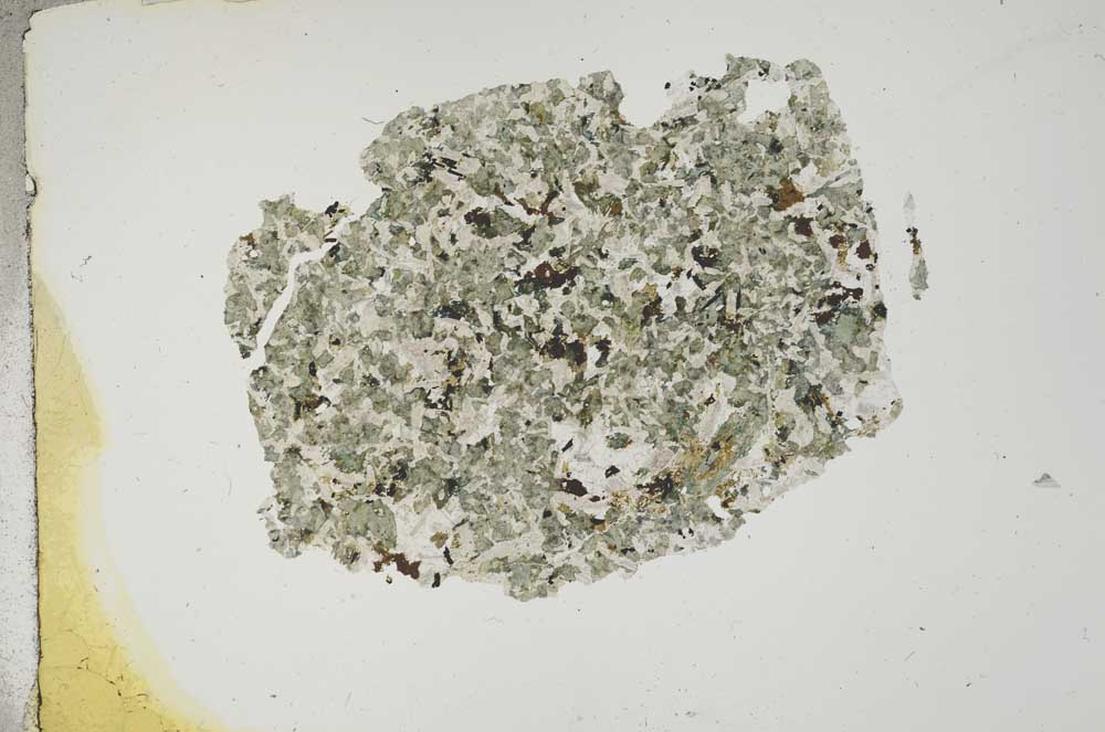 Plane Polarized, S12681