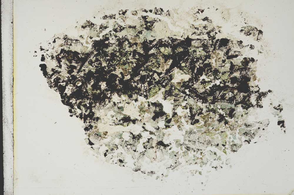 Plane Polarized, S12686