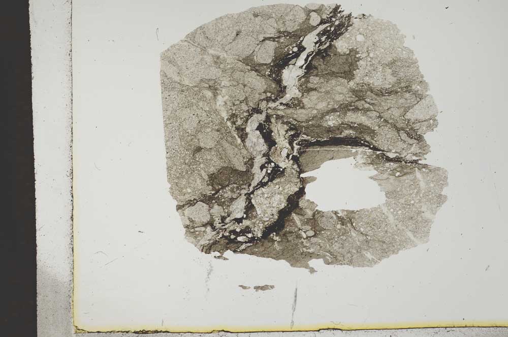 Plane Polarized, S12687