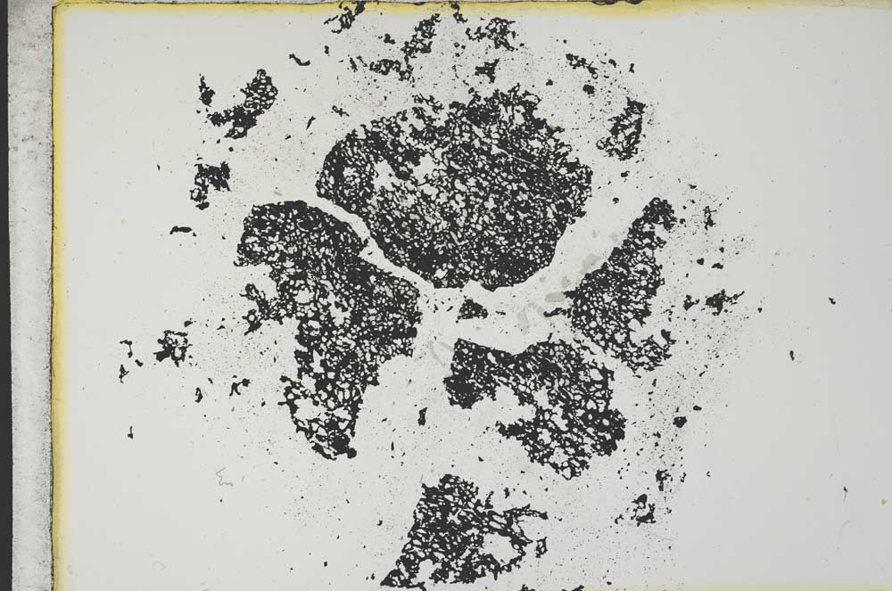 Plane Polarized, S12697