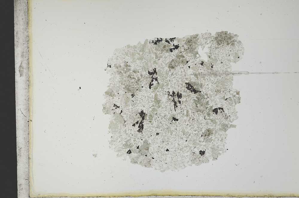 Plane Polarized, S12708