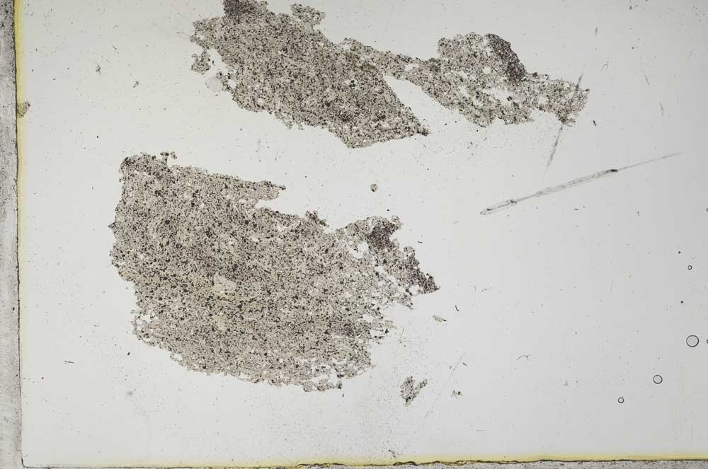 Plane Polarized, S12711