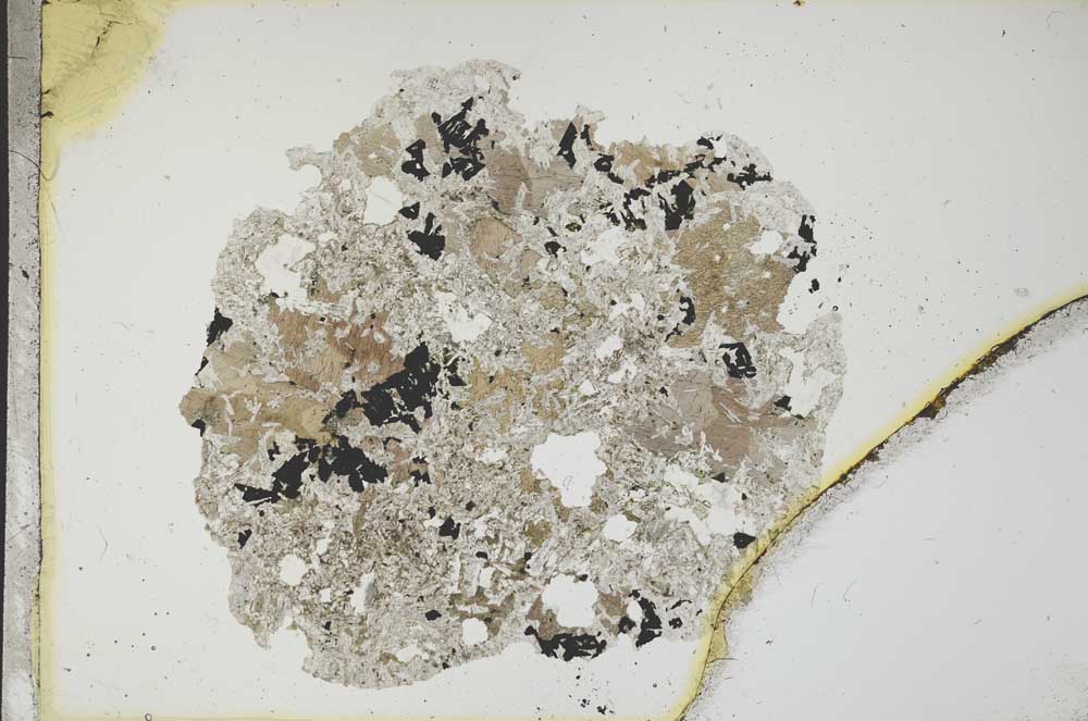 Plane Polarized, S12712