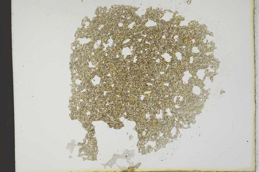 Plane Polarized, S12717