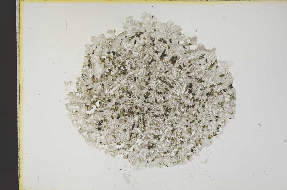 Plane Polarized, S12719