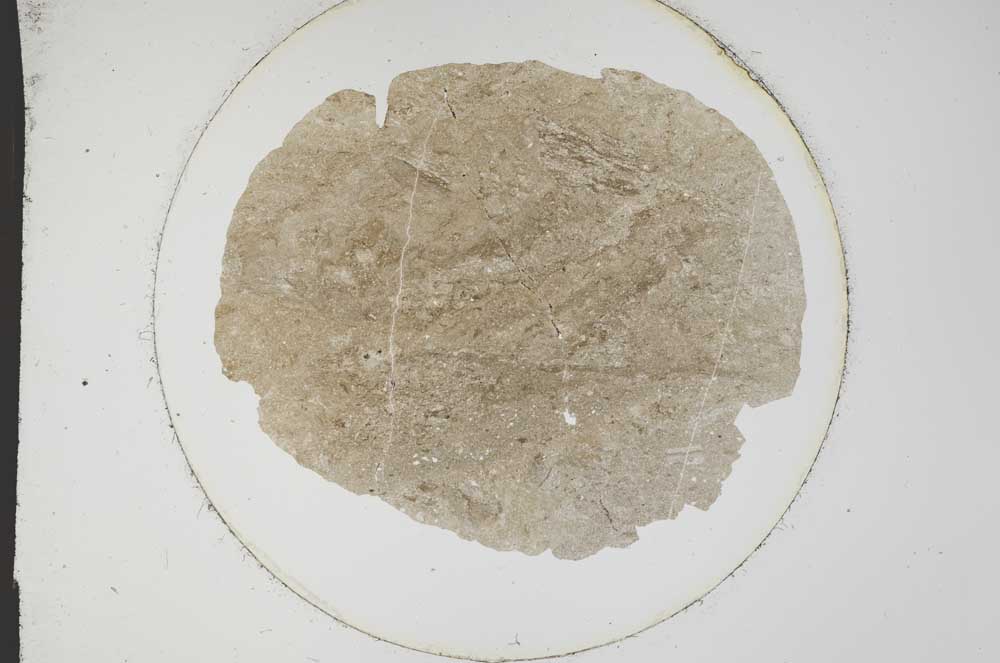 Plane Polarized, S12769