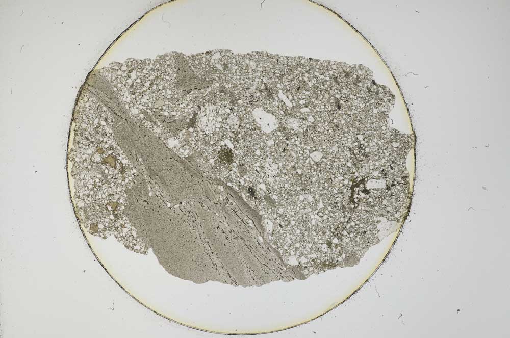Plane Polarized, S12770