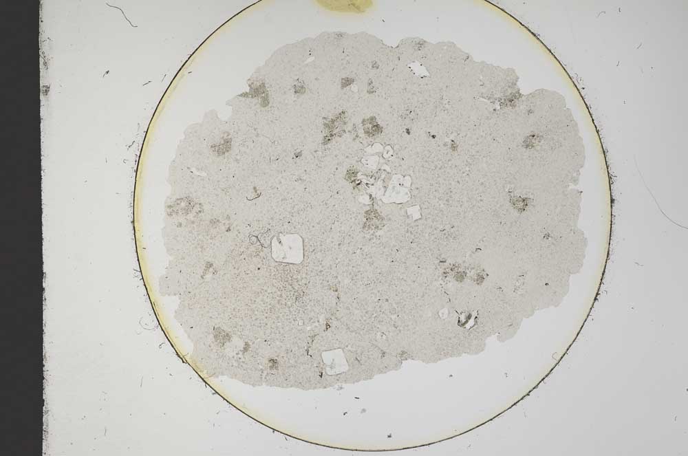 Plane Polarized, S12773