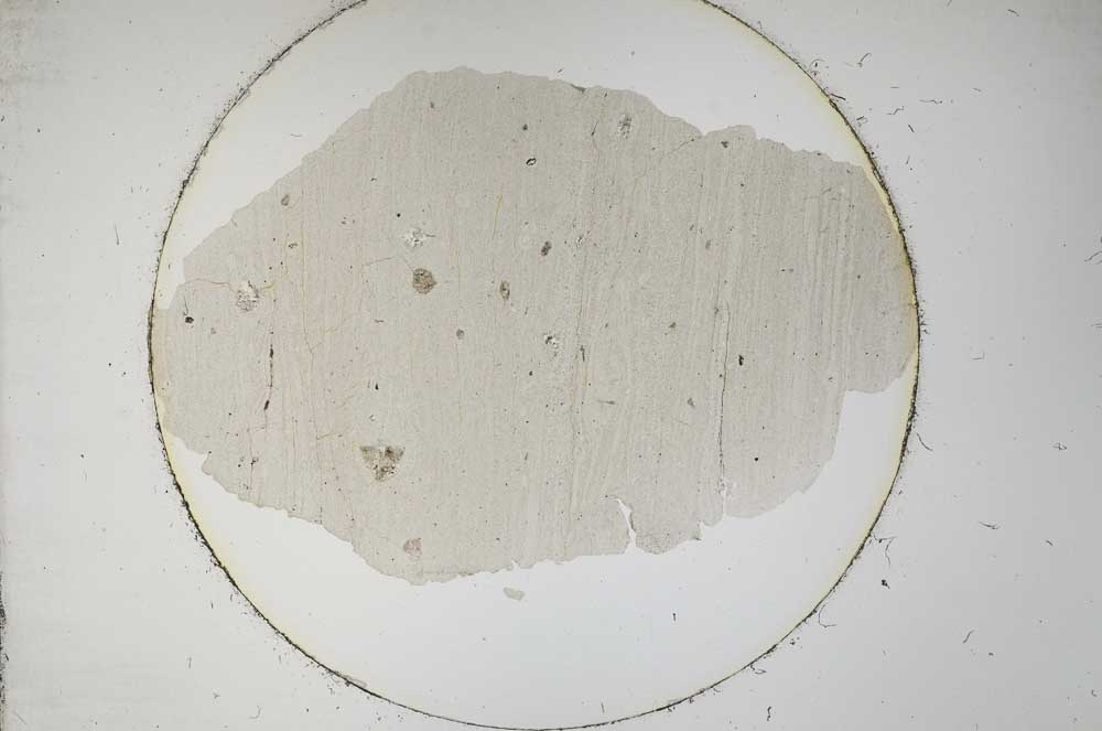 Plane Polarized, S12774