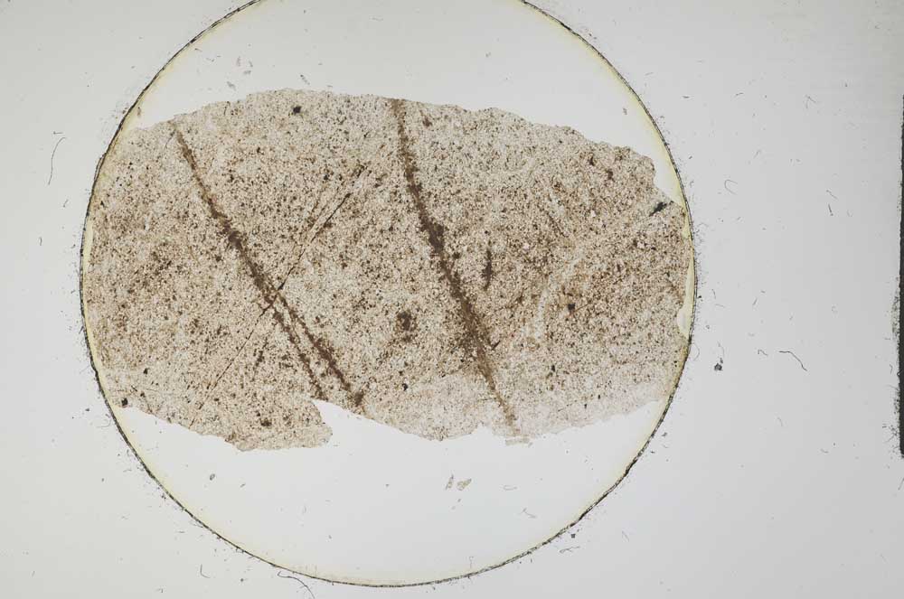 Plane Polarized, S12775