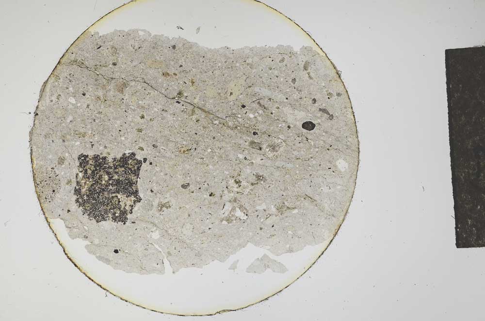 Plane Polarized, S12779