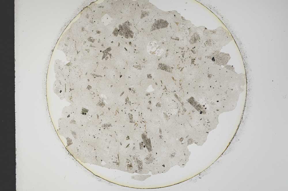 Plane Polarized, S12781