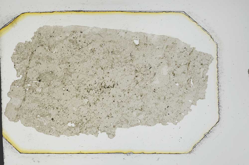 Plane Polarized, S12782