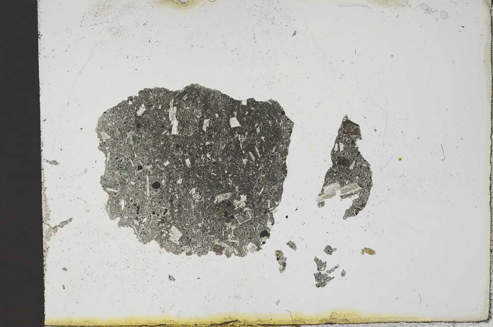 Plane Polarized, S12820