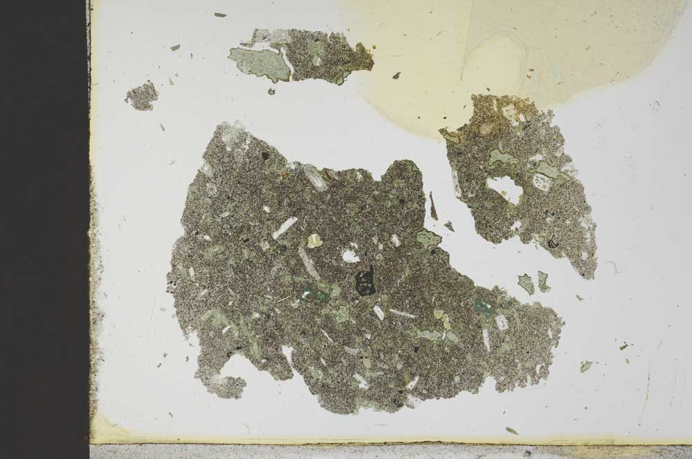 Plane Polarized, S12821