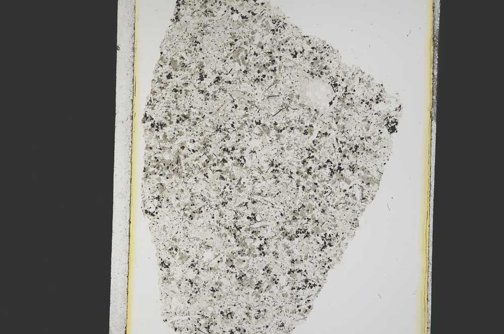 Plane Polarized, S12876