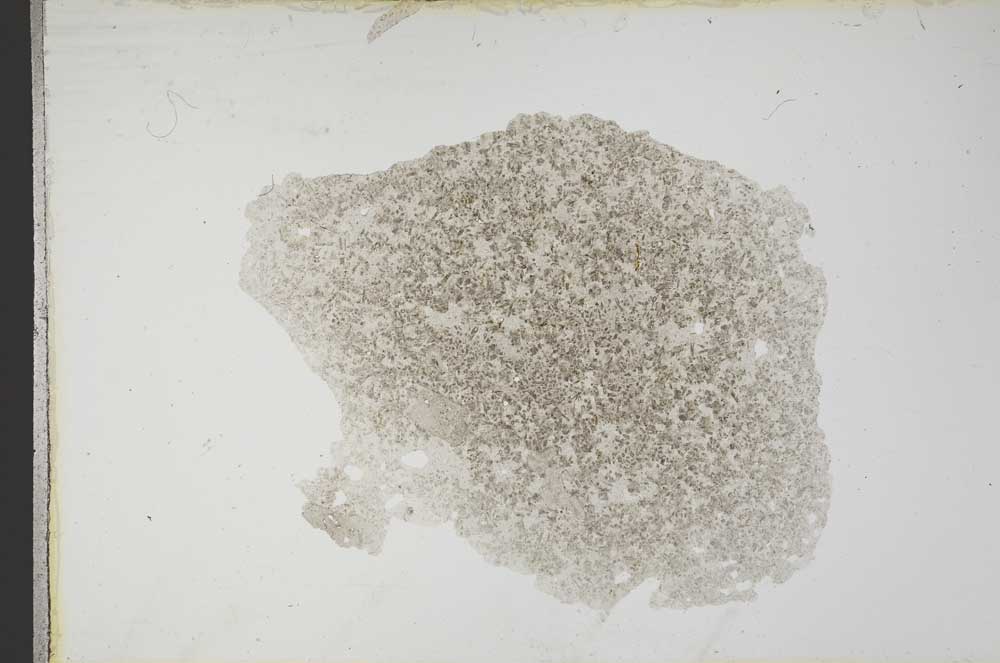 Plane Polarized, S12881