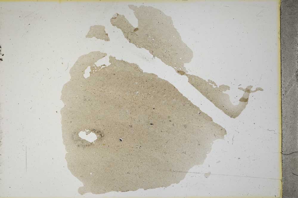 Plane Polarized, S12882