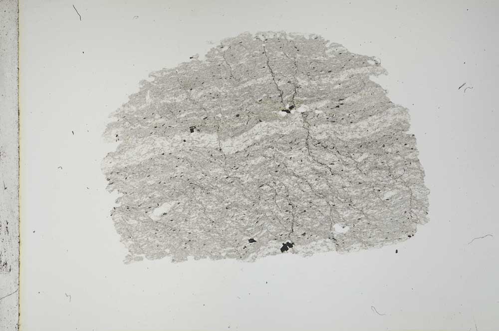 Plane Polarized, S12917