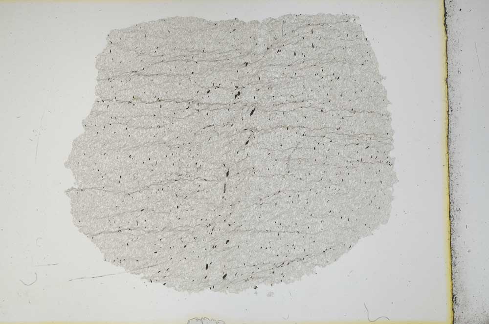 Plane Polarized, S12918