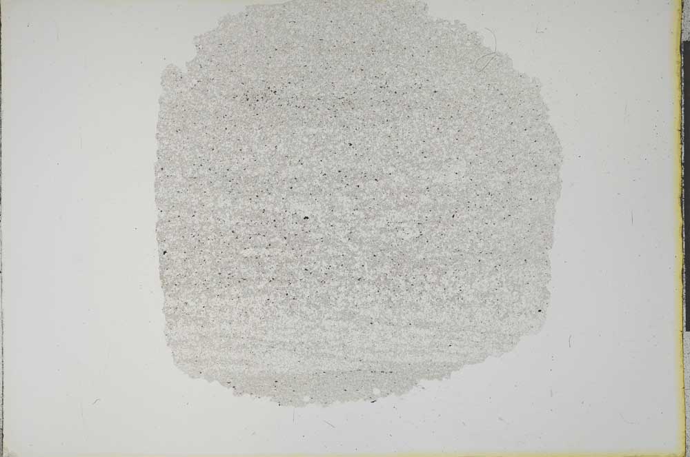 Plane Polarized, S12919