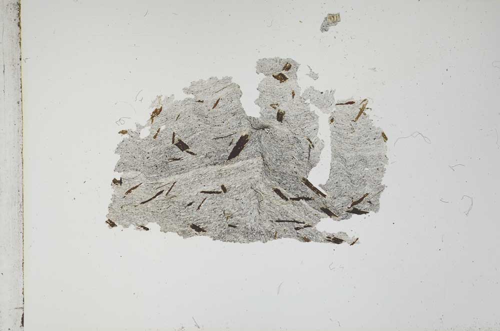 Plane Polarized, S12926