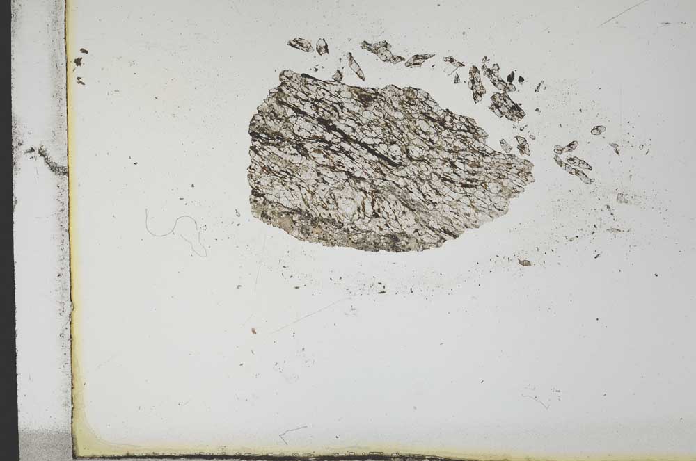 Plane Polarized, S12936