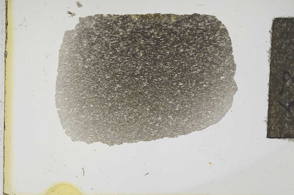 Plane Polarized, S12941