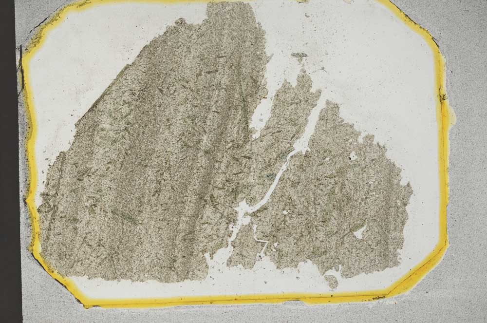 Plane Polarized, S12953