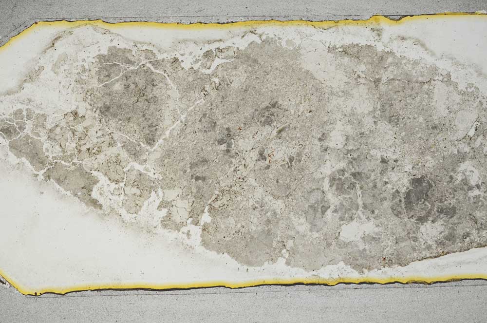 Plane Polarized, S12956