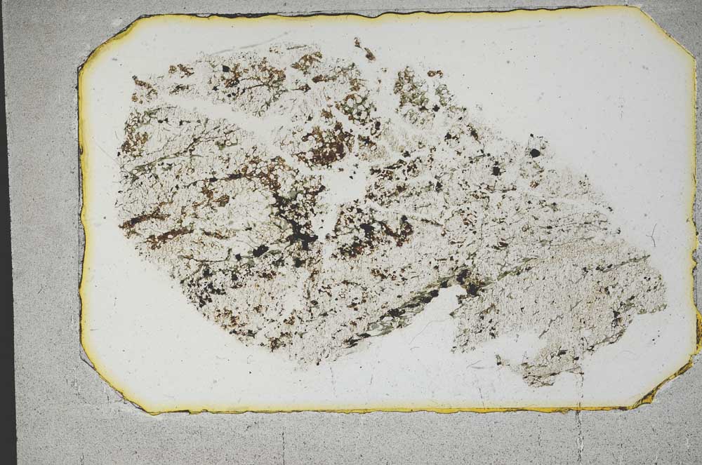 Plane Polarized, S12957/D