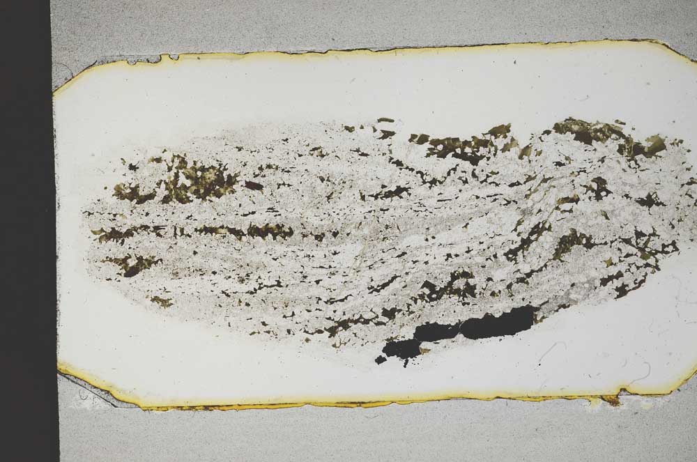 Plane Polarized, S12958