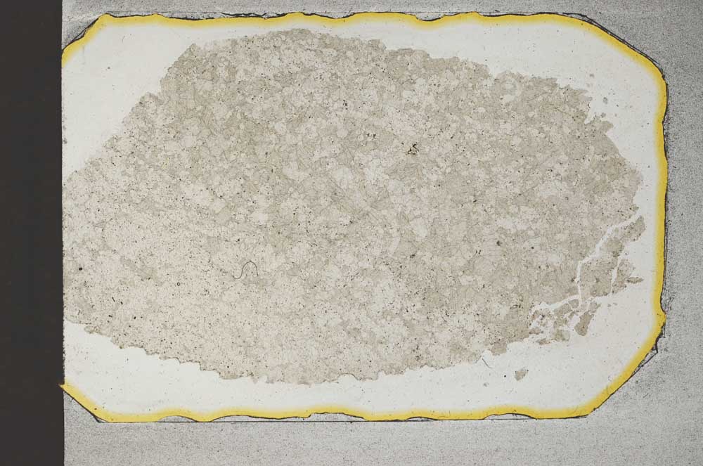 Plane Polarized, S12959