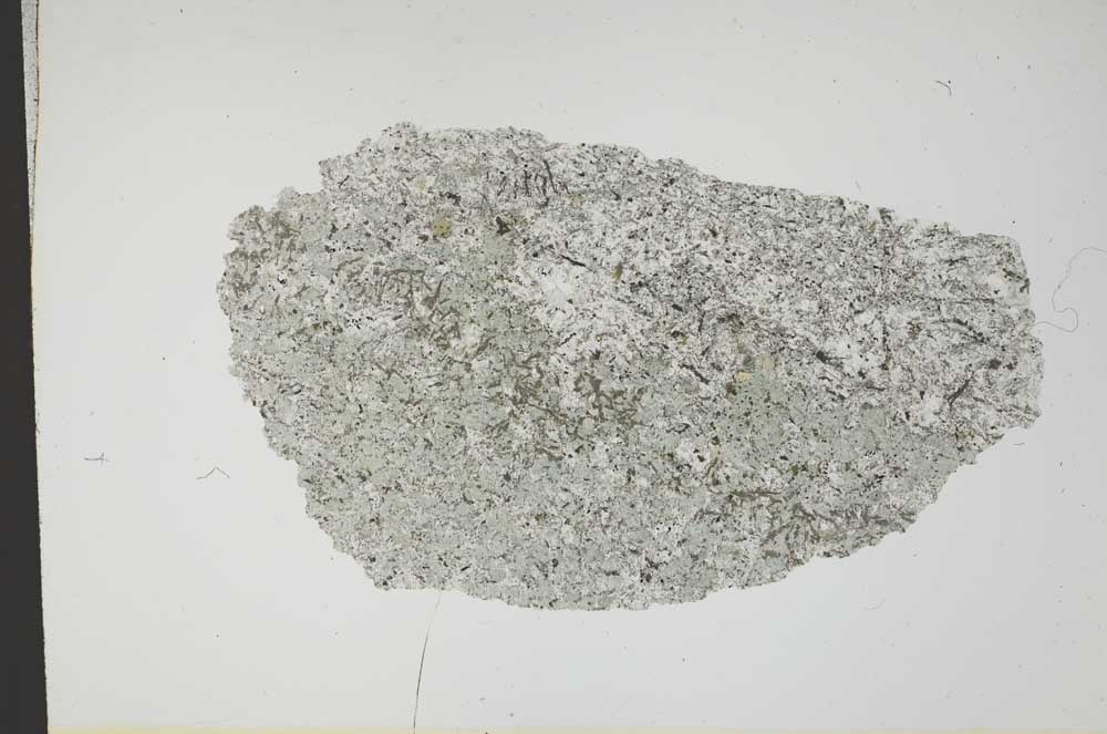 Plane Polarized, S12966