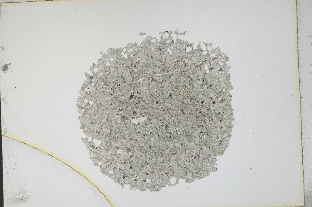 Plane Polarized, S12971