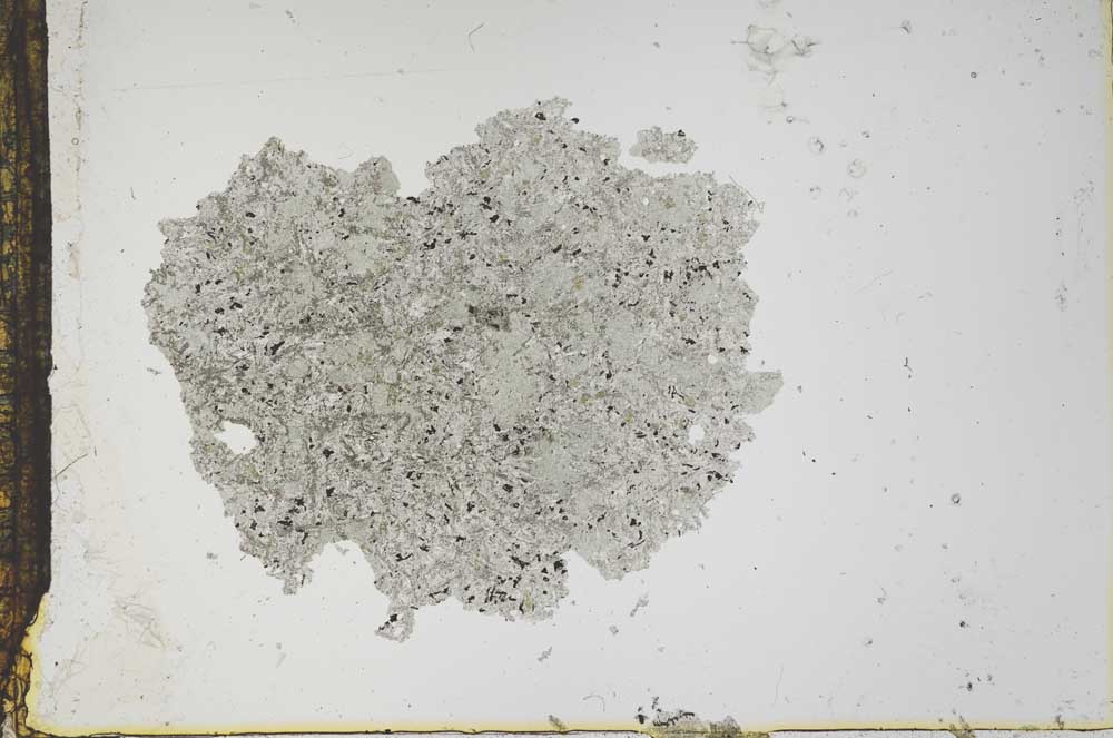 Plane Polarized, S12974