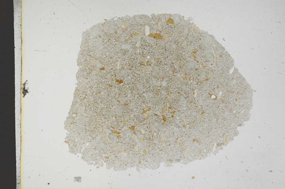 Plane Polarized, S12977