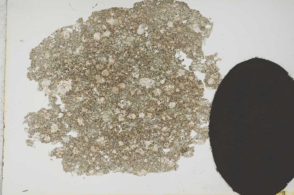 Plane Polarized, S12978