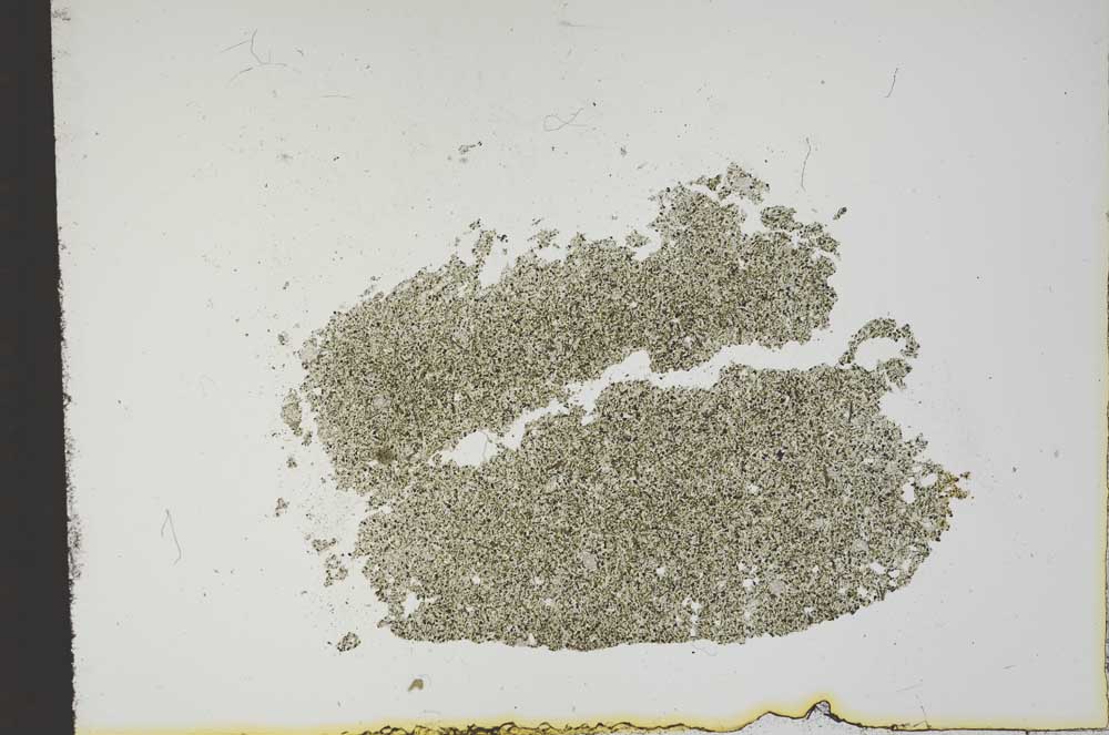 Plane Polarized, S12987