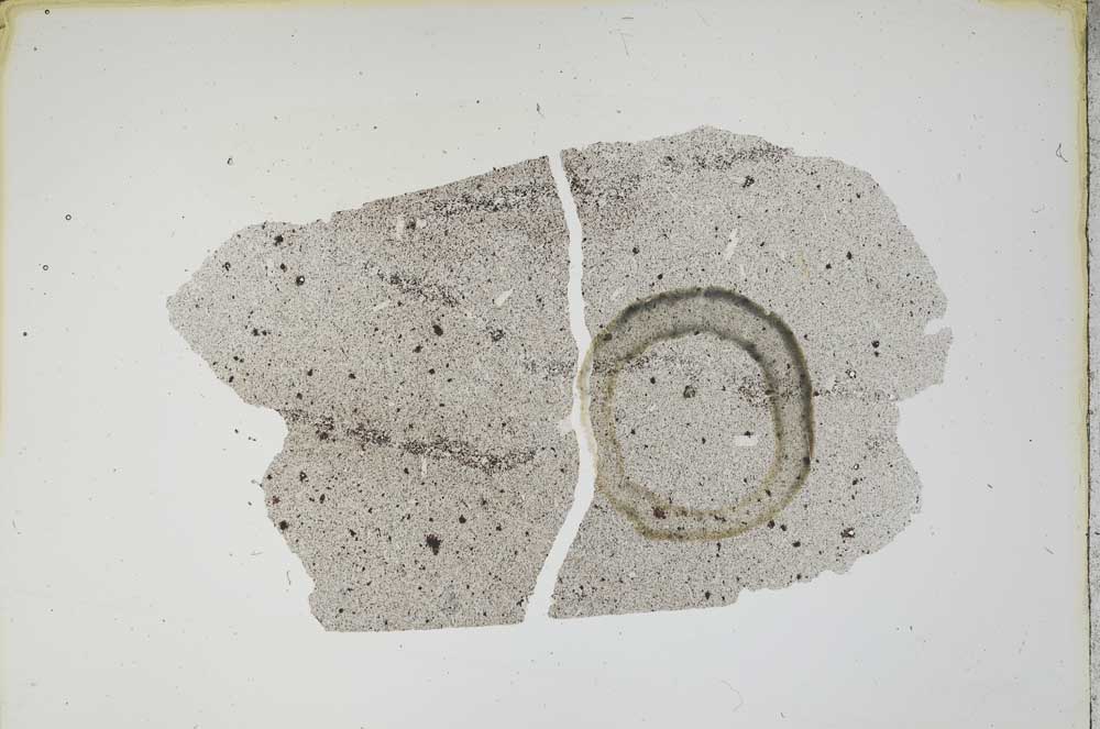Plane Polarized, S12996