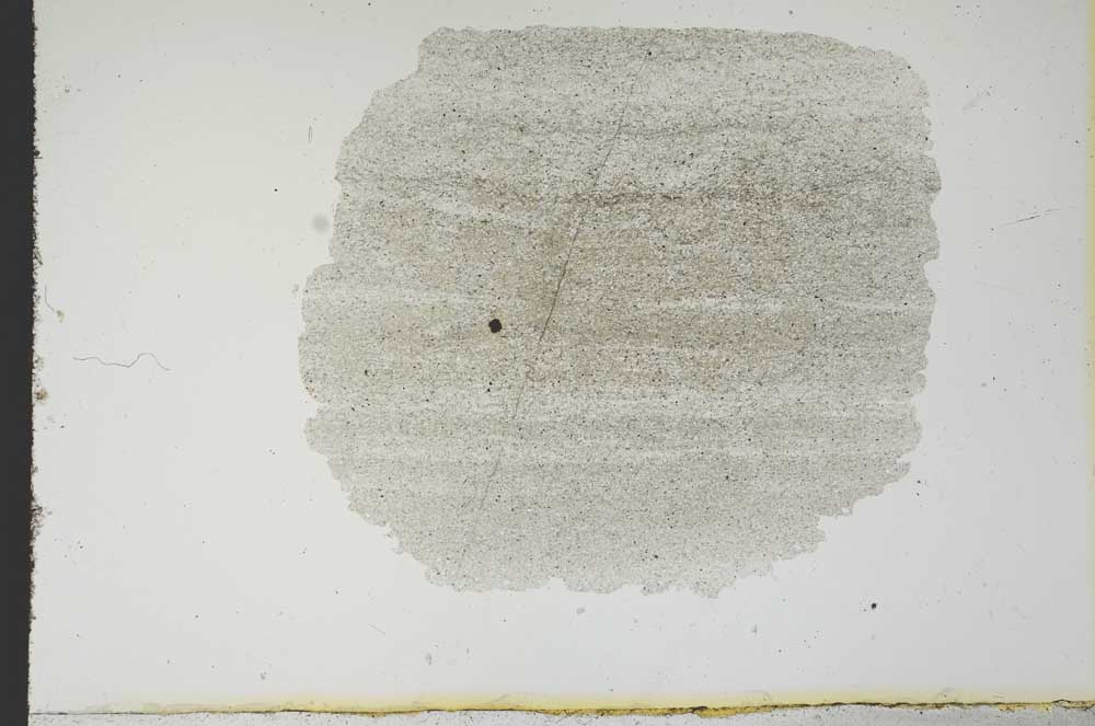 Plane Polarized, S13007