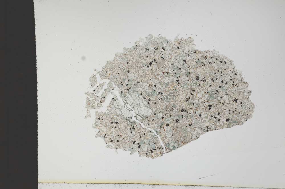 Plane Polarized, S13008