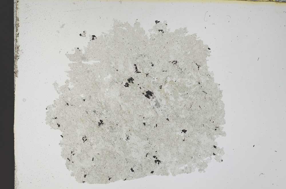 Plane Polarized, S13033