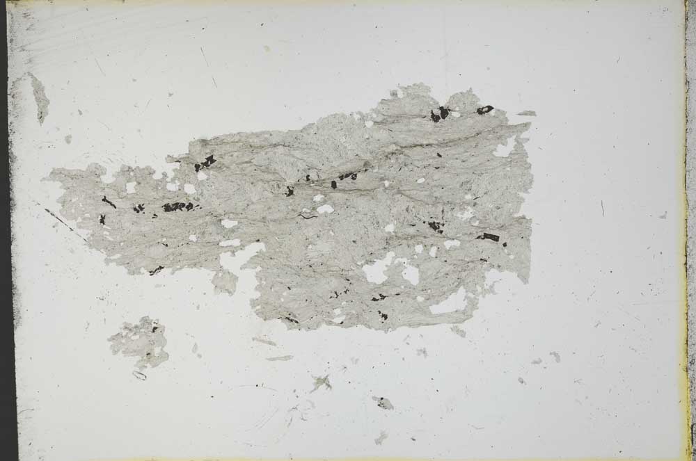 Plane Polarized, S13034