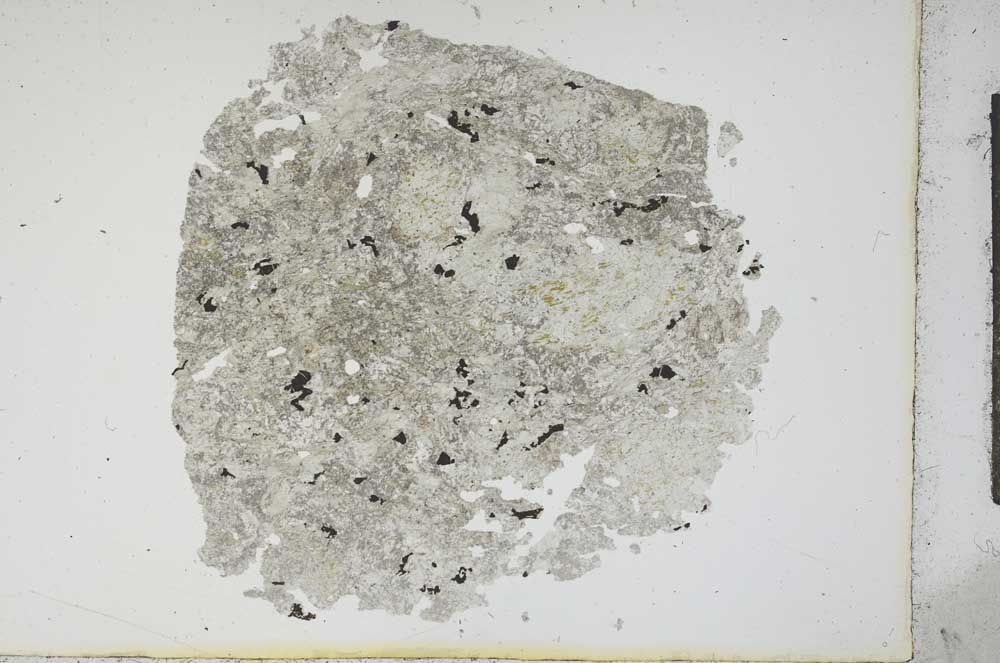 Plane Polarized, S13035