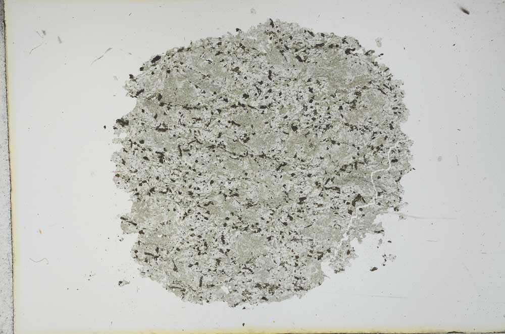 Plane Polarized, S13038