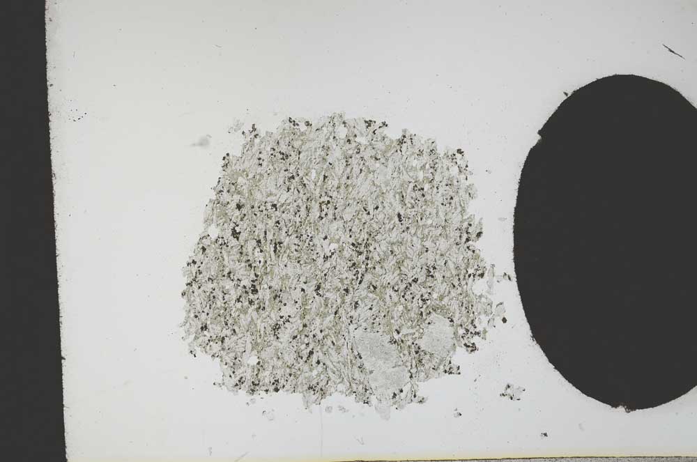 Plane Polarized, S13040