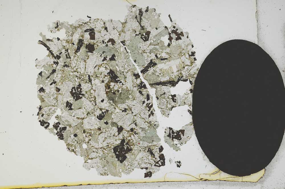 Plane Polarized, S13041