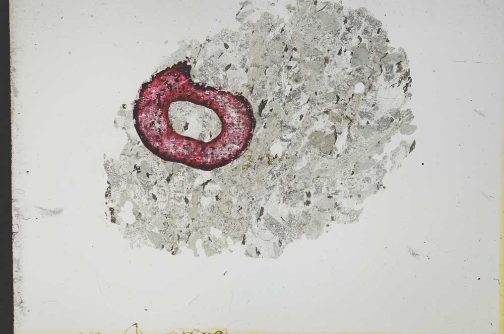 Plane Polarized, S13042